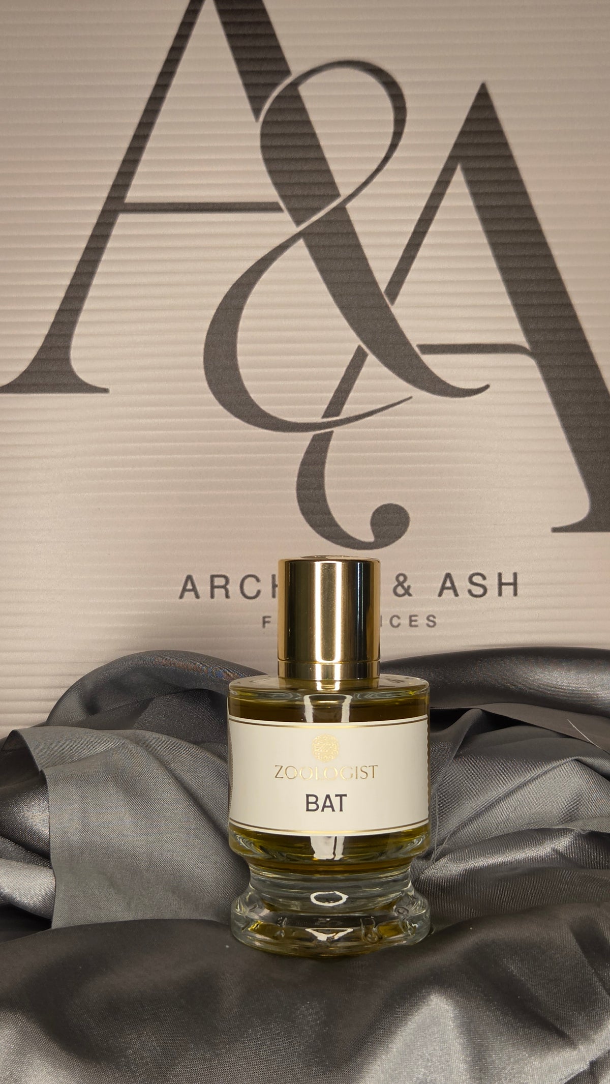 Bat — Zoologist